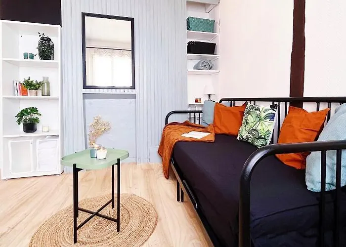Superbe appartement au centre d\'Orléans